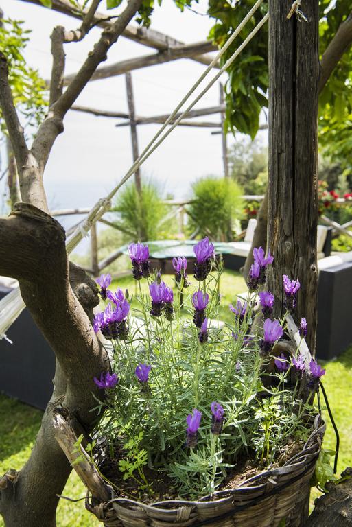 Villa Gianlica Praiano Ngoại thất bức ảnh